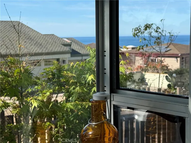 Ocean View from kitchen window.