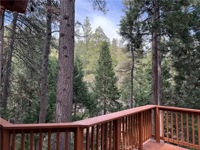 tree view from deck