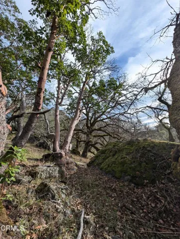 PXL_20250107_222650624.MP