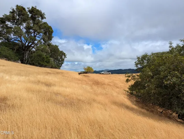 PXL_20240817_220737509