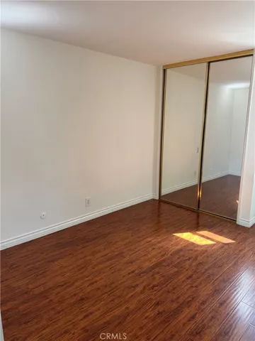 Mirrored Closet