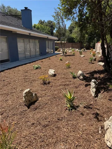 drought tolerant backyard with drip system.