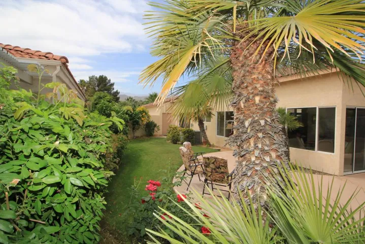 Large backyard