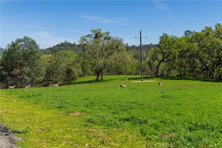 5550 Las Tablas Bay, Paso Robles, California 93446