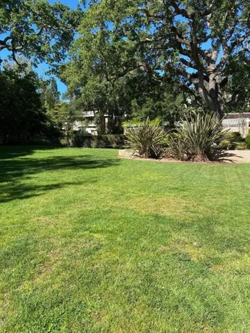 675 Sharon Park Drive 311, Menlo Park, California 94025
