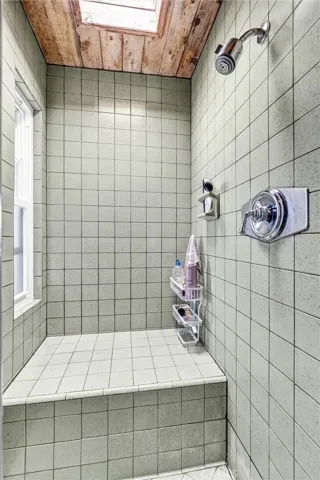 Master Bedroom Shower