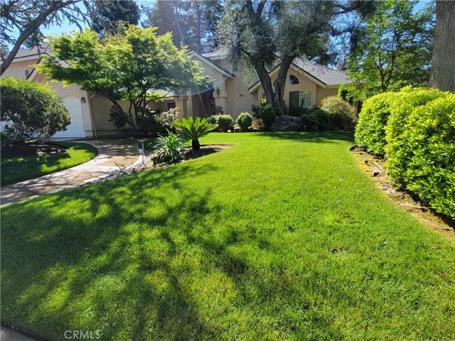 Front Park-like Yard