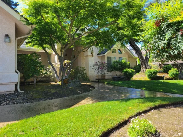 Front Park-like Yard