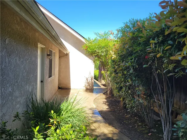 Side Yard