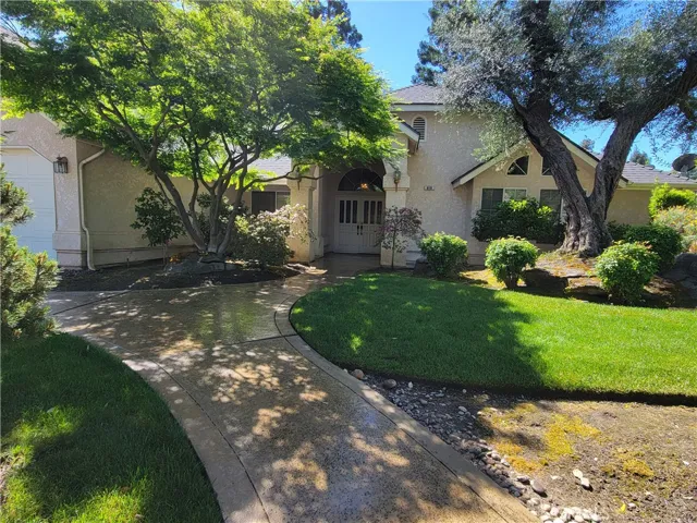 Front Park-like Yard