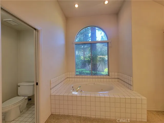 Jet Tub and Shower Area