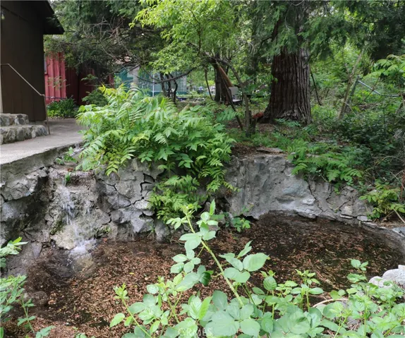 Your Sanctuary. Creek waterfalls into the pond