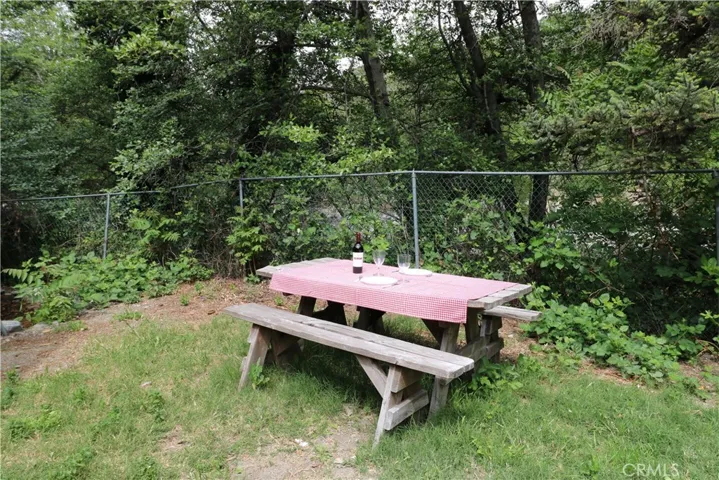 Picnic with the trees and relaxing sound and view of the creek