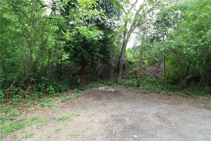 Spacious yard, another view