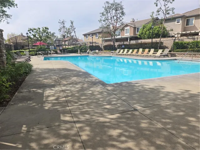 Swimming Pool/Spa area