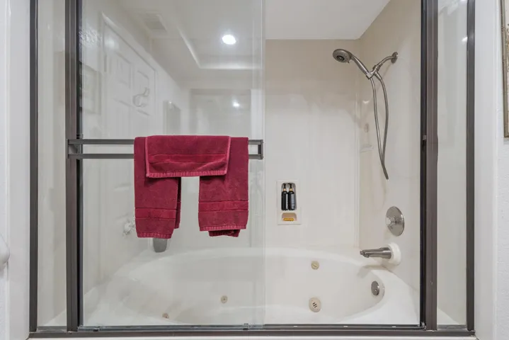 Guest shower and tub