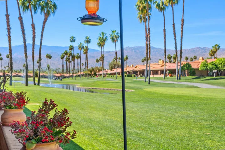 Humming birds and a view!