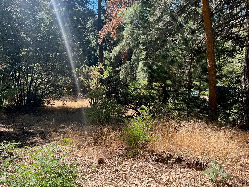 AVAILABLE BACK LOT