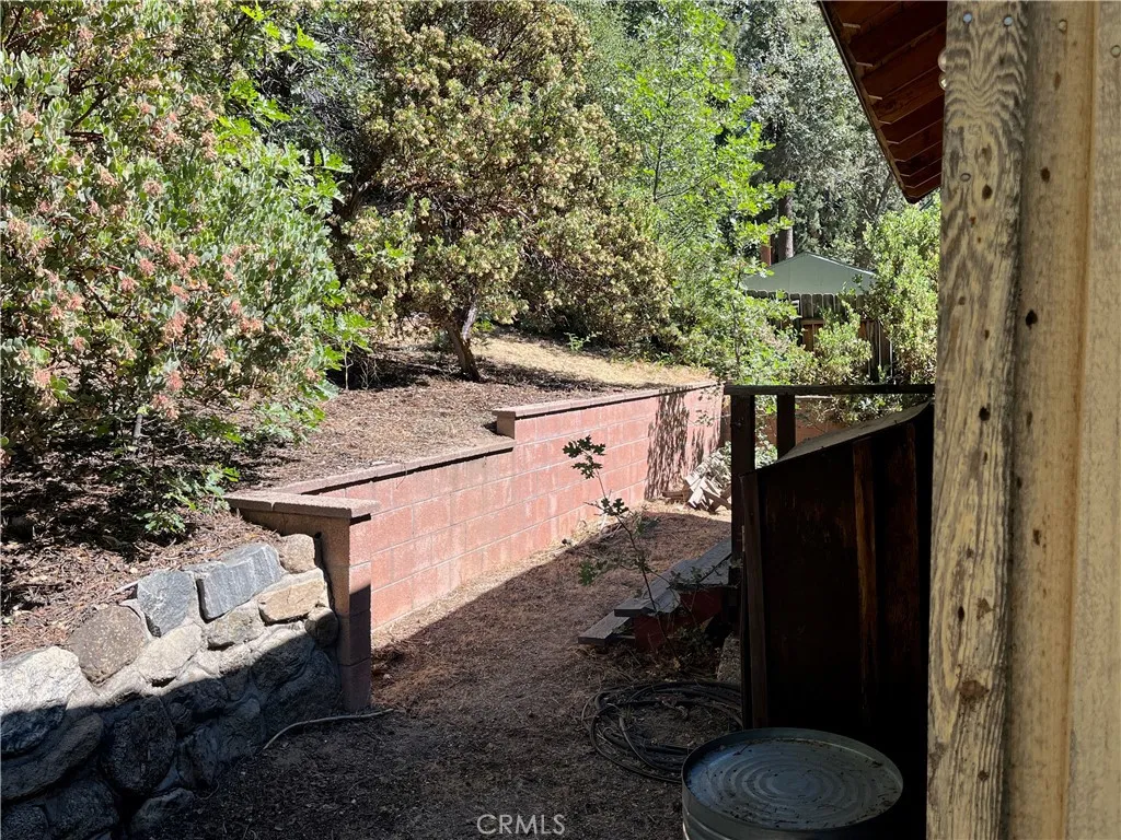 CABIN BACK