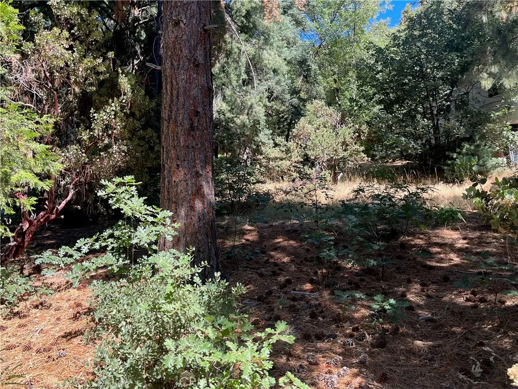 AVAILABLE BACK LOT