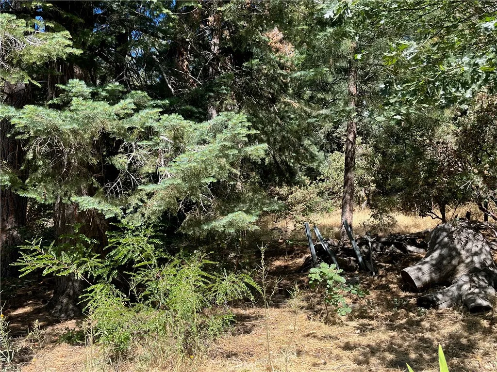 AVAILABLE BACK LOT