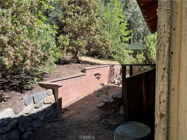 CABIN BACK