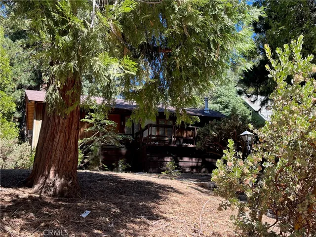 CABIN BACK