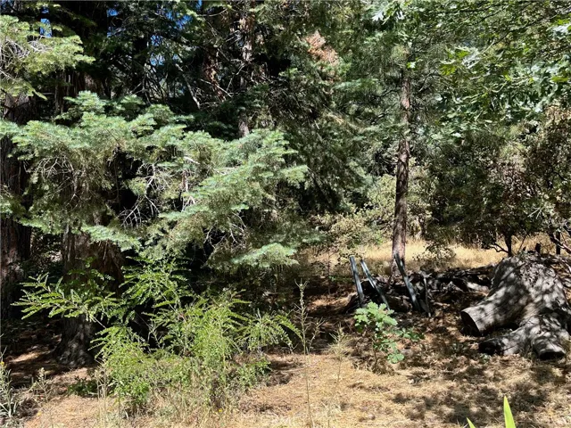 AVAILABLE BACK LOT