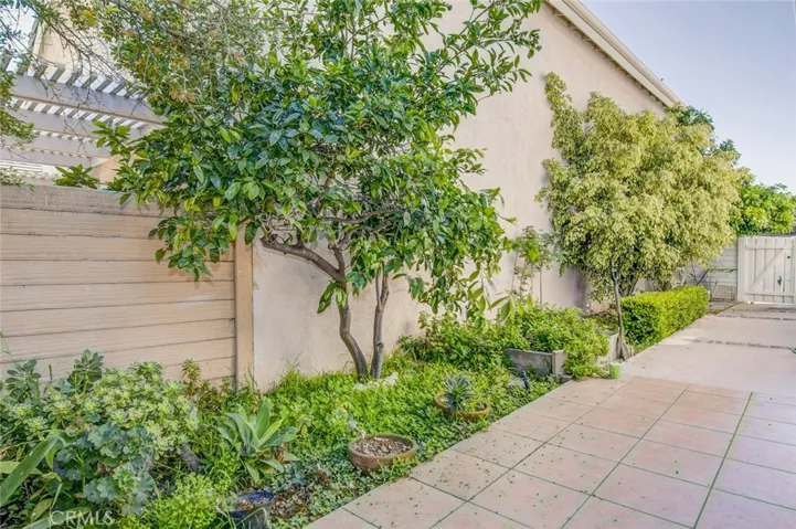 Sideyard is full of a variety of plants.