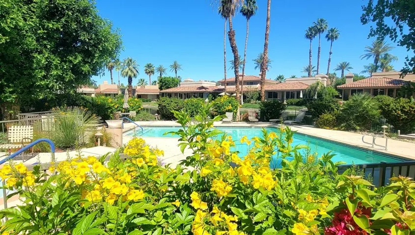 Shady Pool