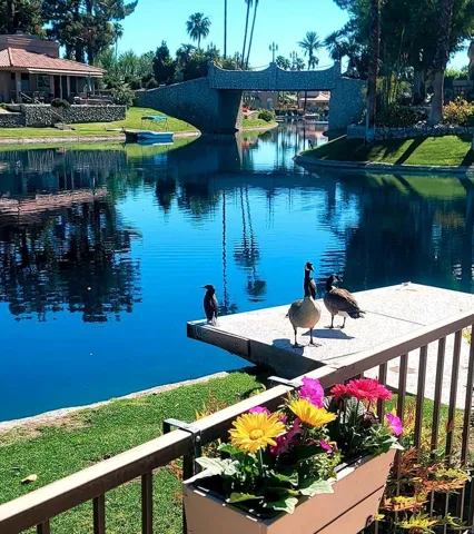 Bridge View
