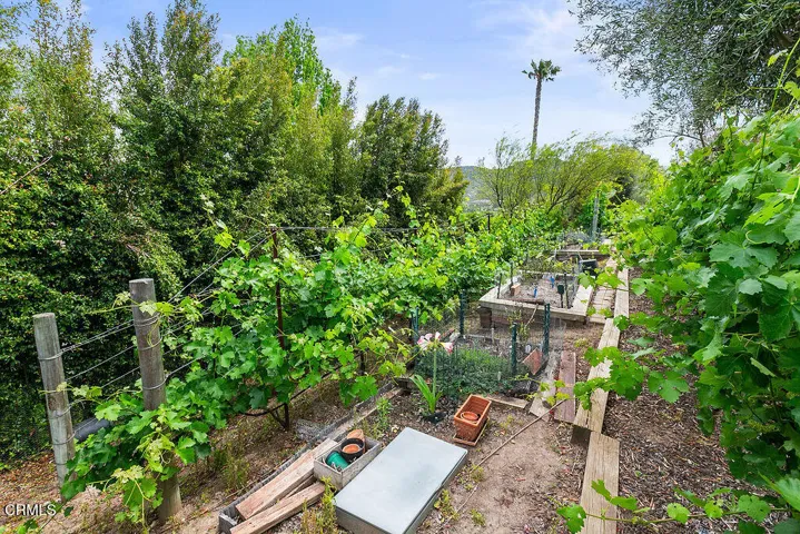 10799LasPosas_April03,2026_0086