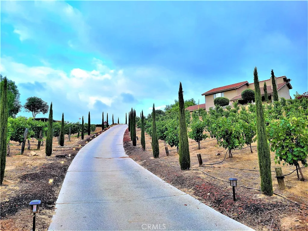 Enter Gate A and climb scenic driveway up to the main house an