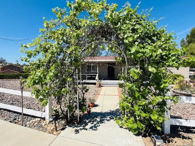 Grape vine arch shows guest house