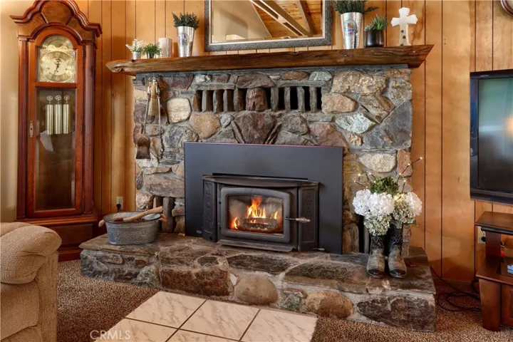 Masonry Wood Stove Insert