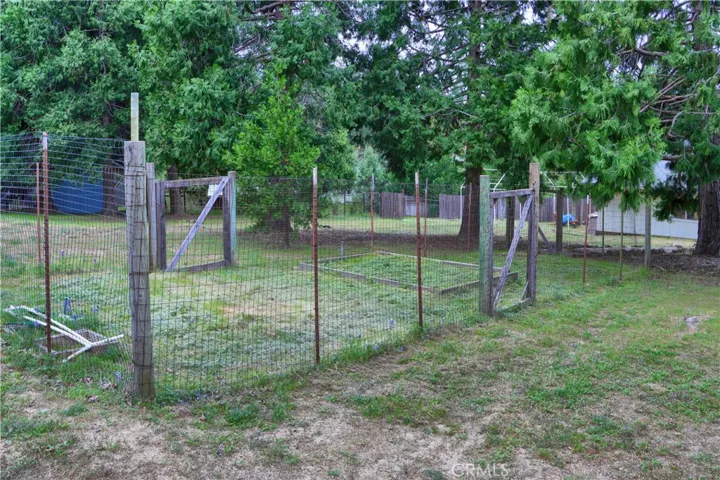 Garden Area