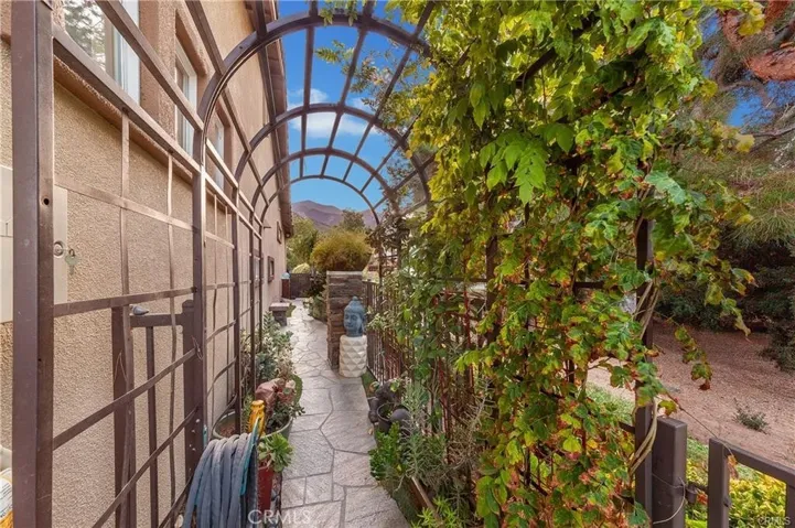 Side Yard