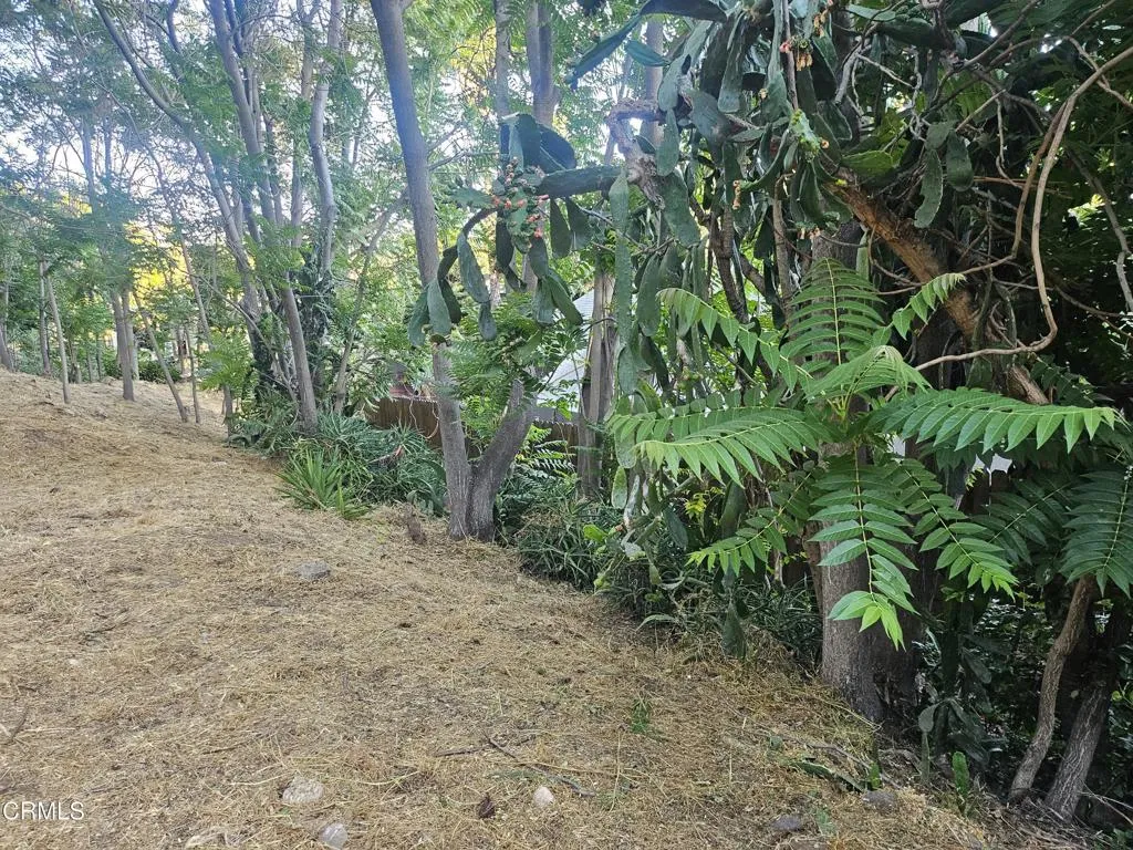 200 S Avenue 63, Los Angeles, California 90042 — photo 4