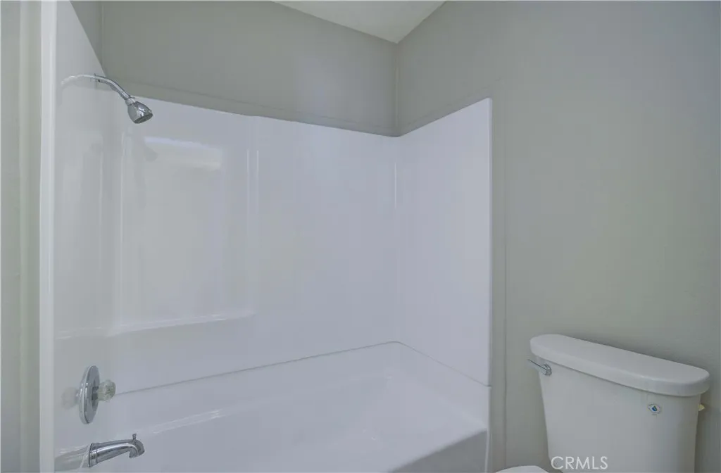 Tub, shower and toilet.