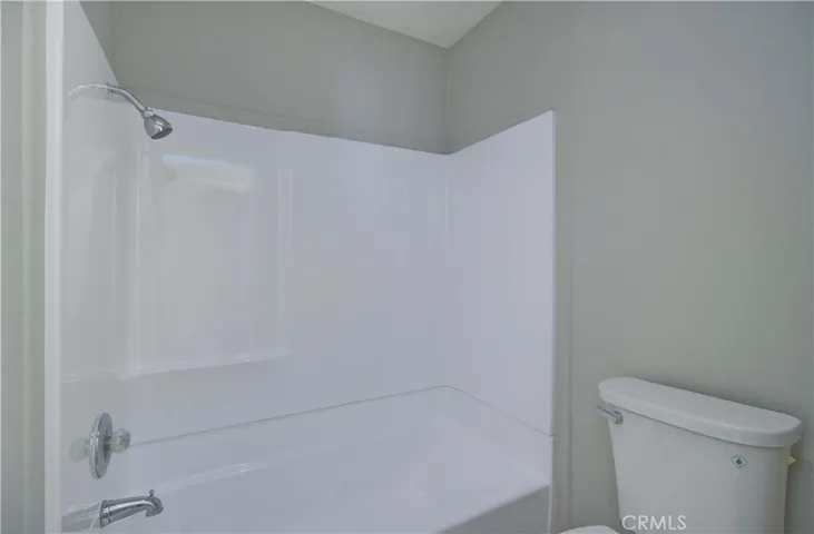 Tub, shower and toilet.