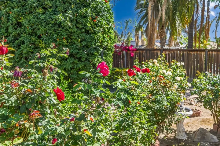 1137 Avenida Roundelay, San Jacinto, California 92583