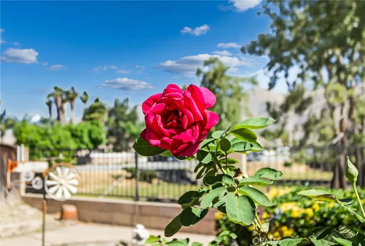 1137 Avenida Roundelay, San Jacinto, California 92583