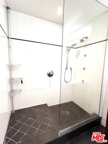 Primary Shower