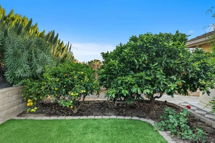 2953 Courser Ave, San Diego, California 92117
