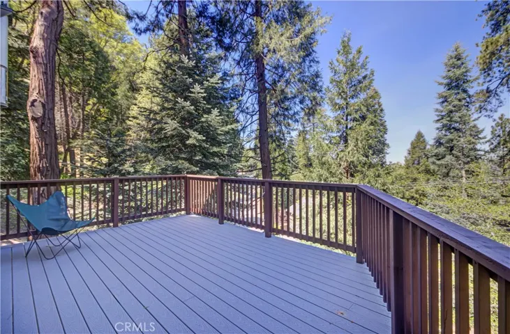 Deck View from family room