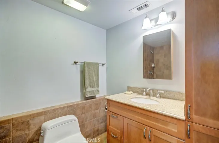 Lower level bathroom