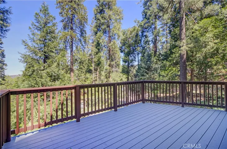 Deck view 2 from living room