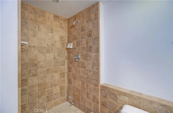 Lower level bathroom (#4)