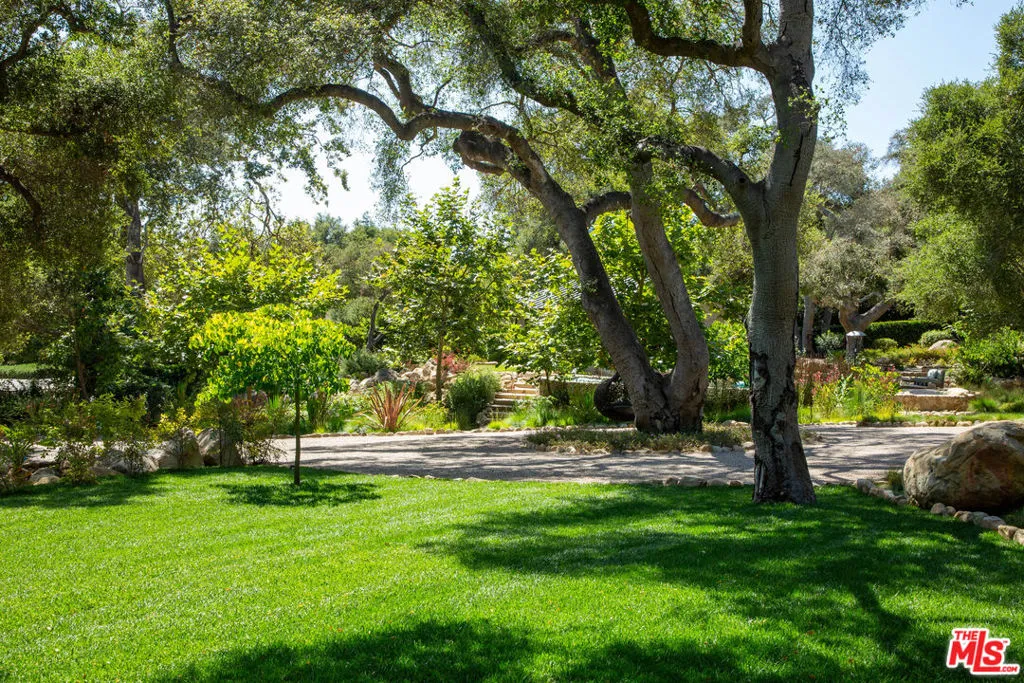 Lawn
