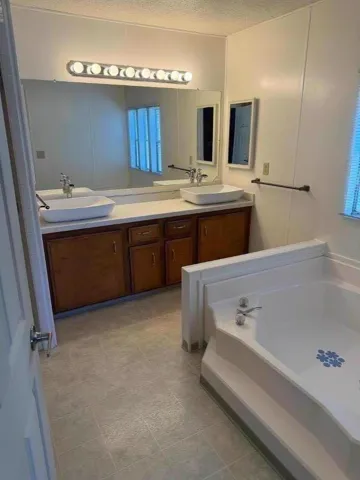 Primary Bathroom Vanity & Tub